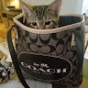 Meet your Posher, Angela